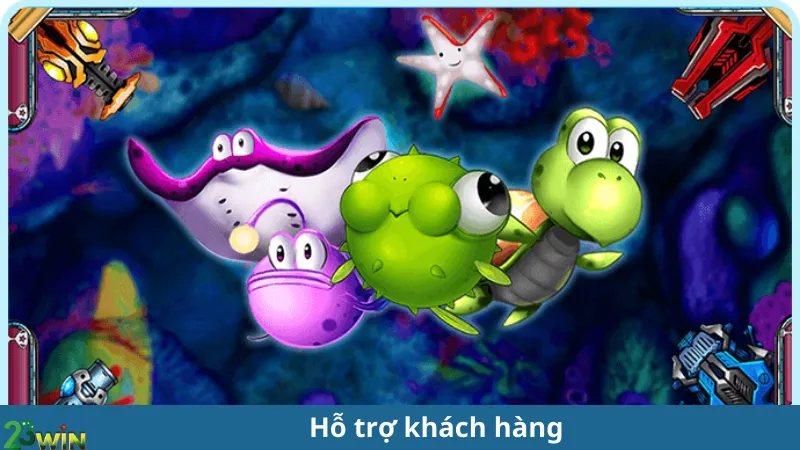 Hỗ trợ khách hàng