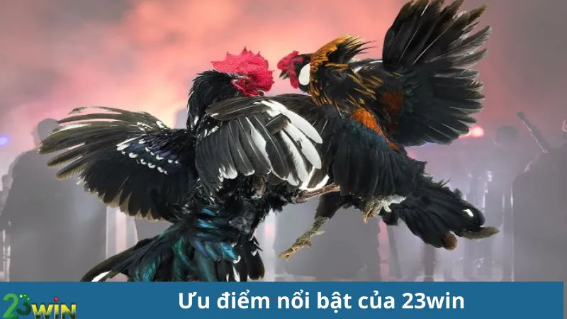 Ưu điểm nổi bật của 23win