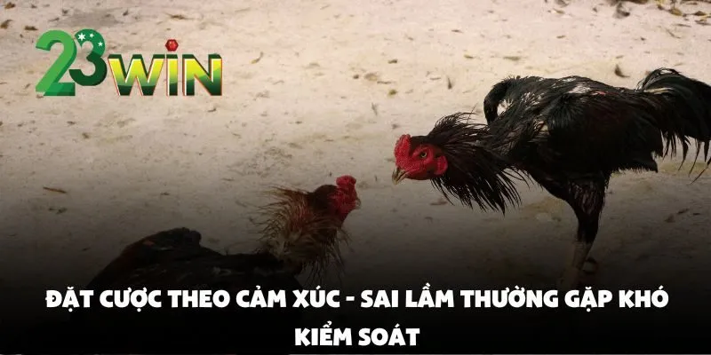 Sai Lầm Thường Gặp Khi Cược Đá Gà Tại 23win Khiến Người Chơi Trắng Tay