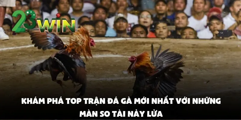 Top Trận Đá Gà Cựa Sắt Kịch Tính Được Yêu Thích Nhất Tại 23win