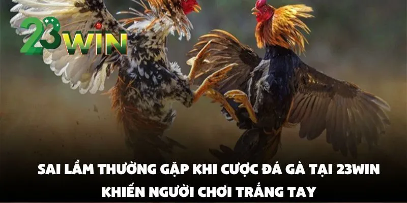 Sai Lầm Thường Gặp Khi Cược Đá Gà Tại 23win Khiến Người Chơi Trắng Tay