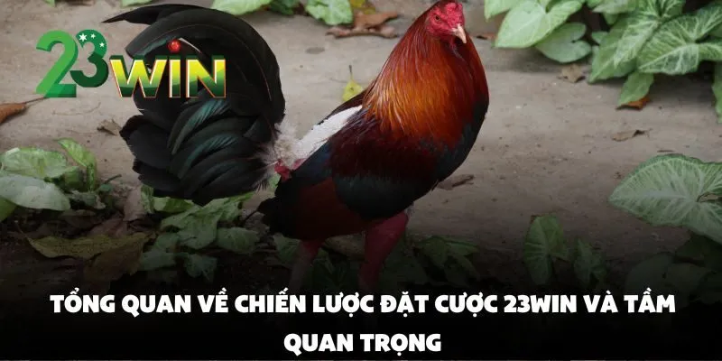 Chiến Lược Đặt Cược Đá Gà Tại 23win: Cách Đọc Kèo Và Chọn Chiến Kê Thắng