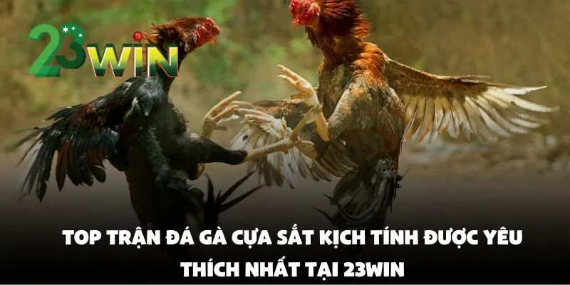Top Trận Đá Gà Cựa Sắt Kịch Tính Được Yêu Thích Nhất Tại 23win