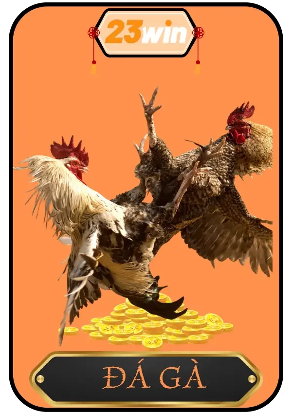 Cá cược Đá Gà tại 23win cực hấp dẫn